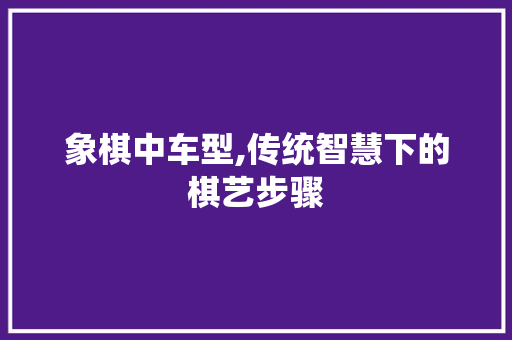 象棋中车型,传统智慧下的棋艺步骤