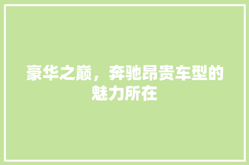 豪华之巅，奔驰昂贵车型的魅力所在