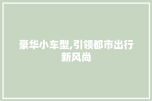 豪华小车型,引领都市出行新风尚