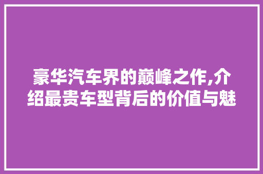 豪华汽车界的巅峰之作,介绍最贵车型背后的价值与魅力