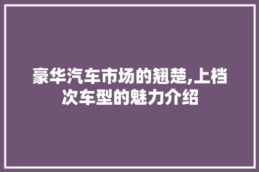 豪华汽车市场的翘楚,上档次车型的魅力介绍