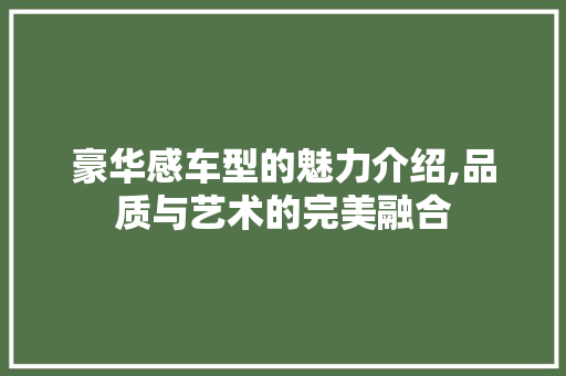 豪华感车型的魅力介绍,品质与艺术的完美融合