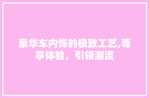 豪华车内饰的极致工艺,尊享体验，引领潮流