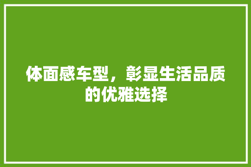 体面感车型，彰显生活品质的优雅选择 底盘配件