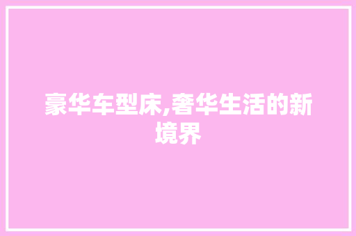 豪华车型床,奢华生活的新境界