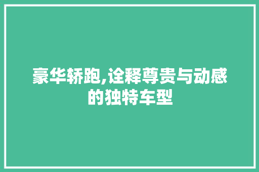 豪华轿跑,诠释尊贵与动感的独特车型