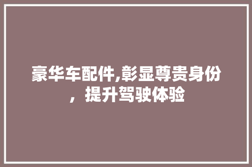 豪华车配件,彰显尊贵身份，提升驾驶体验