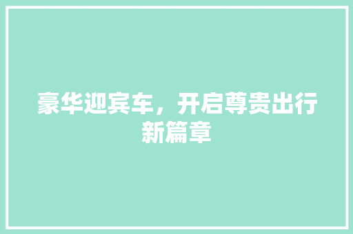 豪华迎宾车，开启尊贵出行新篇章 新款车型