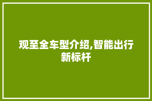 观至全车型介绍,智能出行新标杆