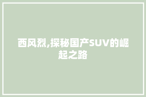 西风烈,探秘国产SUV的崛起之路