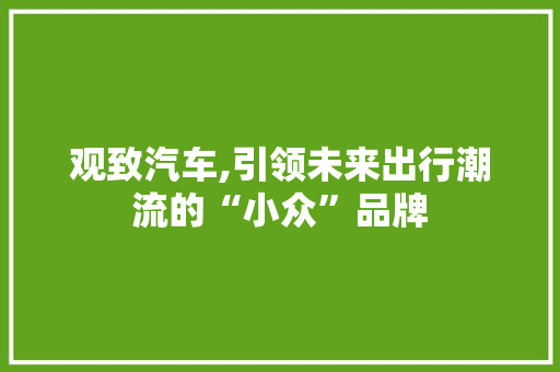 观致汽车,引领未来出行潮流的“小众”品牌