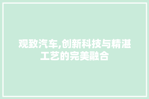 观致汽车,创新科技与精湛工艺的完美融合