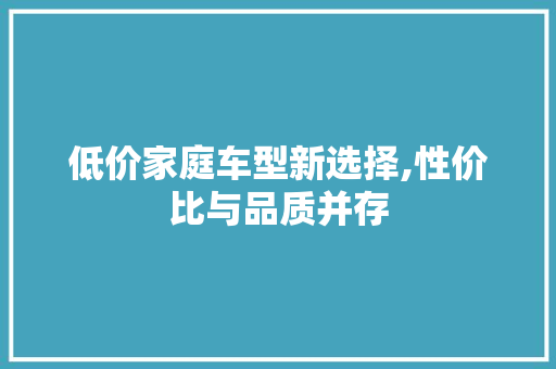 低价家庭车型新选择,性价比与品质并存