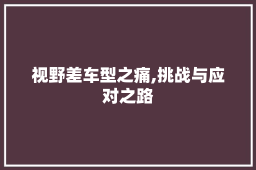 视野差车型之痛,挑战与应对之路