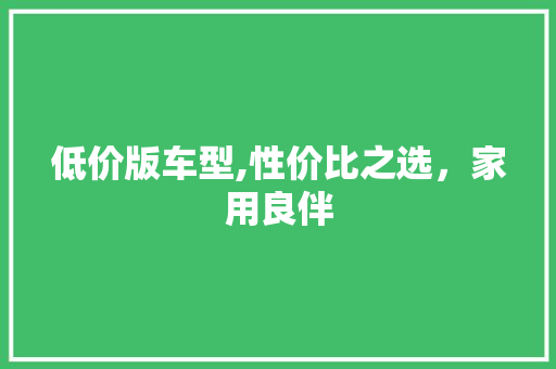 低价版车型,性价比之选，家用良伴