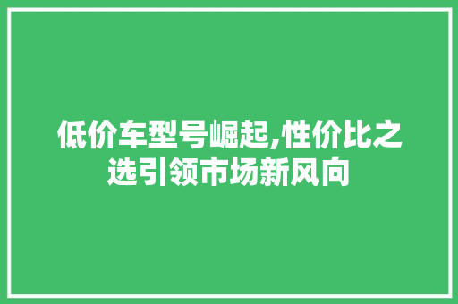 低价车型号崛起,性价比之选引领市场新风向