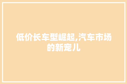 低价长车型崛起,汽车市场的新宠儿