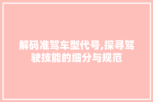 解码准驾车型代号,探寻驾驶技能的细分与规范