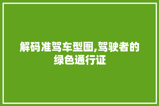 解码准驾车型图,驾驶者的绿色通行证