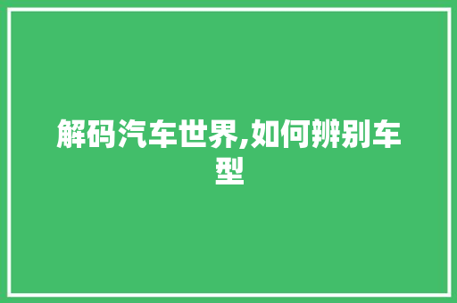 解码汽车世界,如何辨别车型