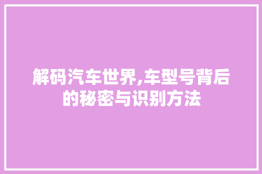 解码汽车世界,车型号背后的秘密与识别方法