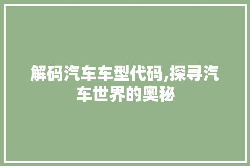 解码汽车车型代码,探寻汽车世界的奥秘