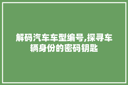 解码汽车车型编号,探寻车辆身份的密码钥匙