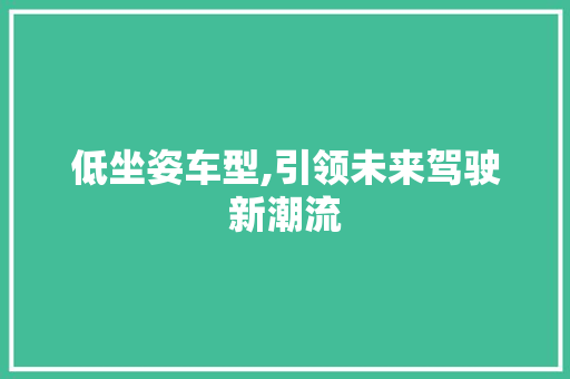 低坐姿车型,引领未来驾驶新潮流