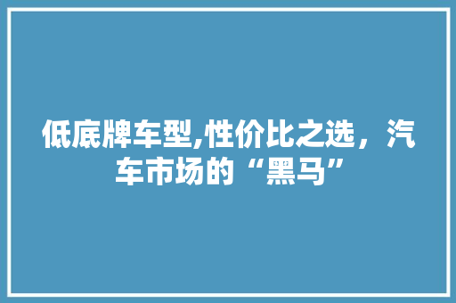 低底牌车型,性价比之选，汽车市场的“黑马”