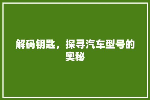 解码钥匙，探寻汽车型号的奥秘 新款车型