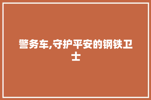 警务车,守护平安的钢铁卫士