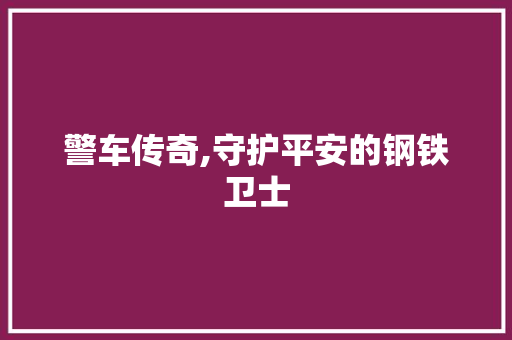 警车传奇,守护平安的钢铁卫士