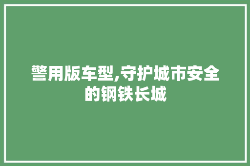 警用版车型,守护城市安全的钢铁长城