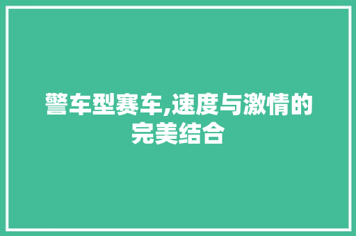 警车型赛车,速度与激情的完美结合