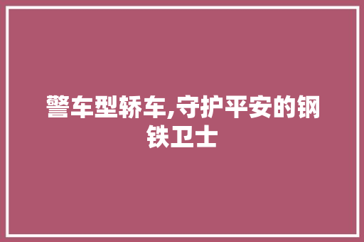 警车型轿车,守护平安的钢铁卫士