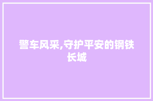 警车风采,守护平安的钢铁长城