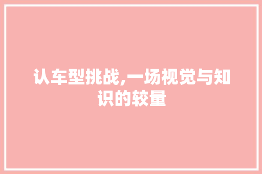 认车型挑战,一场视觉与知识的较量
