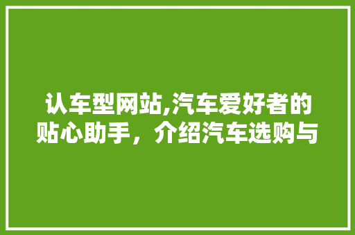 认车型网站,汽车爱好者的贴心助手，介绍汽车选购与养护之路