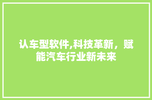 认车型软件,科技革新，赋能汽车行业新未来