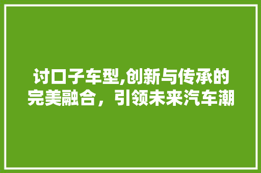 讨口子车型,创新与传承的完美融合，引领未来汽车潮流