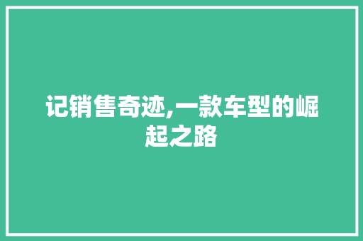 记销售奇迹,一款车型的崛起之路