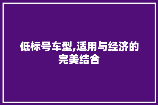 低标号车型,适用与经济的完美结合