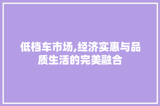 低档车市场,经济实惠与品质生活的完美融合