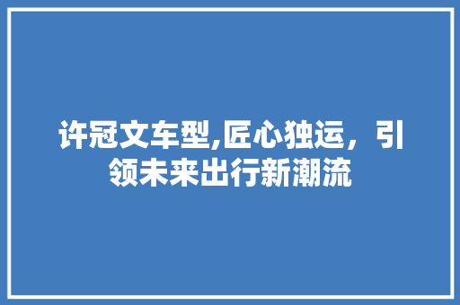 许冠文车型,匠心独运，引领未来出行新潮流