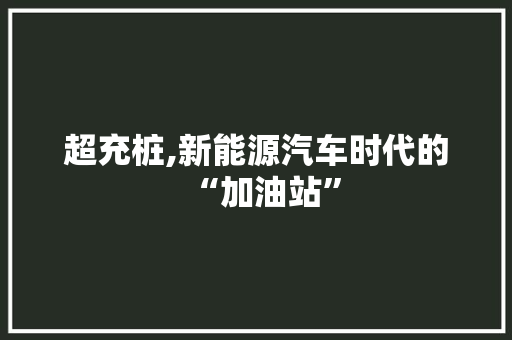 超充桩,新能源汽车时代的“加油站”