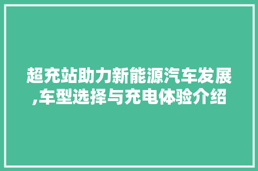 超充站助力新能源汽车发展,车型选择与充电体验介绍