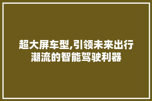 超大屏车型,引领未来出行潮流的智能驾驶利器