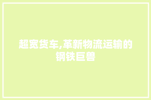 超宽货车,革新物流运输的钢铁巨兽 车灯配件
