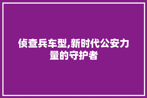 侦查兵车型,新时代公安力量的守护者