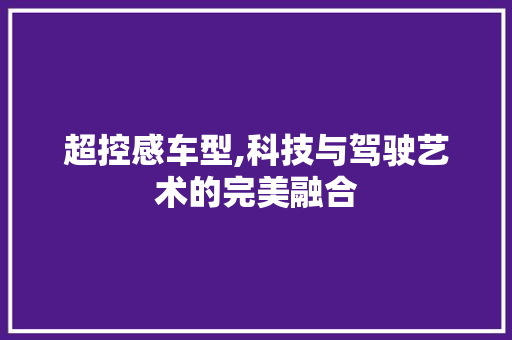 超控感车型,科技与驾驶艺术的完美融合